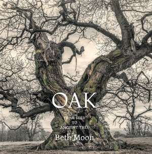Oak de Beth Moon