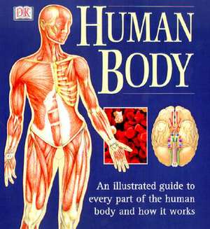 The Human Body de Ann Baggaley