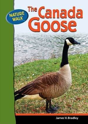 The Canada Goose de James V. Bradley