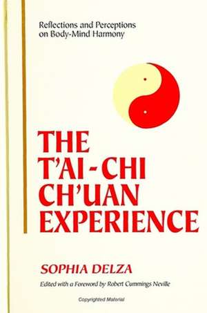 The T'Ai-Chi Ch'uan Experience