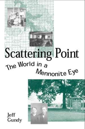 Scattering Point: The World in a Mennonite Eye de Jeff Gundy