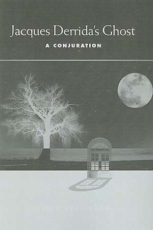 Jacques Derrida's Ghost de David Appelbaum