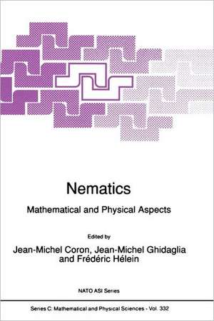 Nematics: Mathematical and Physical Aspects de Jean-Michel Coron