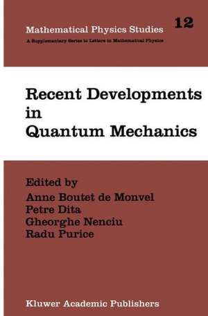 Recent Developments in Quantum Mechanics de Brasov Conference 1989