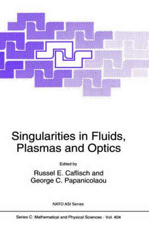 Singularities in Fluids, Plasmas and Optics de Russel Caflisch