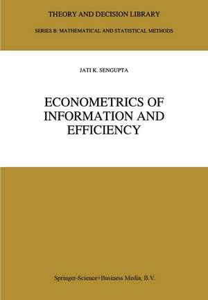 Econometrics of Information and Efficiency de Jati Sengupta