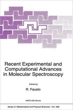 Recent Experimental and Computational Advances in Molecular Spectroscopy de Rui Fausto