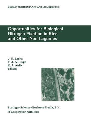 Opportunities for Biological Nitrogen Fixation in Rice and Other Non-Legumes: Papers presented at the Second Working Group Meeting of the Frontier Project on Nitrogen Fixation in Rice held at the National Institute for Biotechnology and Genetic Engineering (NIBGE), Faisalabad, Pakistan, 13–15 October 1996 de J. K. Ladha