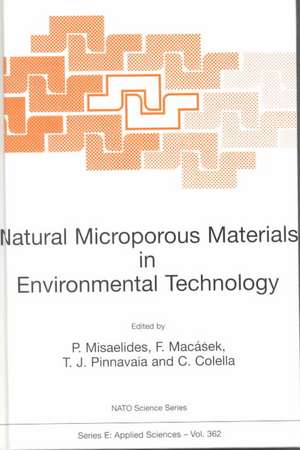 Natural Microporous Materials in Environmental Technology de P. Misaelides