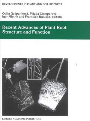 Recent Advances of Plant Root Structure and Function: Proceedings of the 5th International Symposium on Structure and Function of Roots de Otília Gasparíková