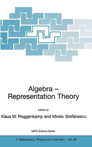 Algebra - Representation Theory de Klaus W. Roggenkamp