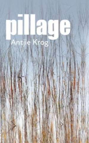 Pillage de Antjie Krog
