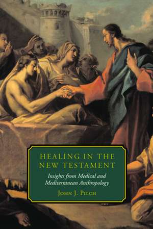 Healing in the New Testament de John J. Pilch