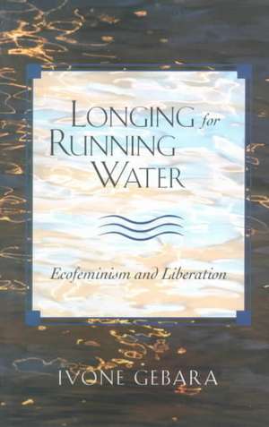 Longing for Running Water: Creating a Symbolic World de Ivone Gebara