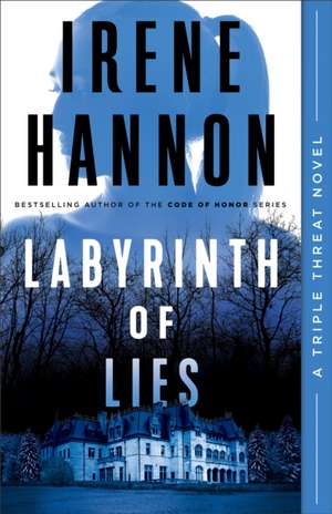 Labyrinth of Lies de Irene Hannon