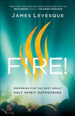 Fire! – Preparing for the Next Great Holy Spirit Outpouring de James Levesque