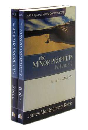 The Minor Prophets de James Montgomer Boice