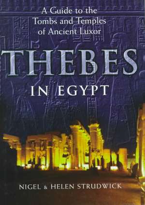 Thebes in Egypt: Power, Restraint, and Privileges of Immunity in Early Medieval Europe de Nigel Strudwick