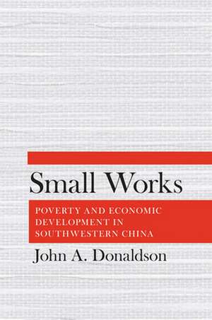 Small Works – Poverty and Economic Development in Southwestern China de John A. Donaldson