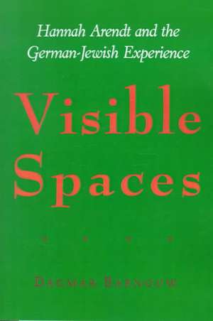 Visible Spaces de Barnouw