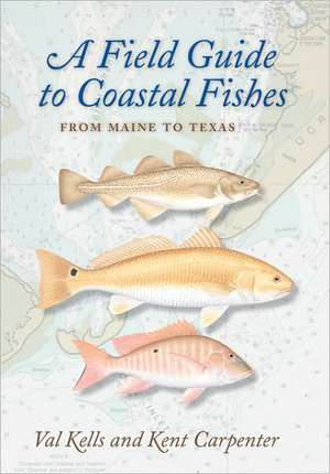 A Field Guide to Coastal Fishes – From Maine to Texas de Valerie Kells