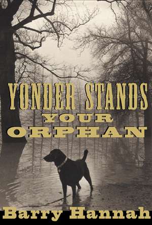 Yonder Stands Your Orphan de Barry Hannah