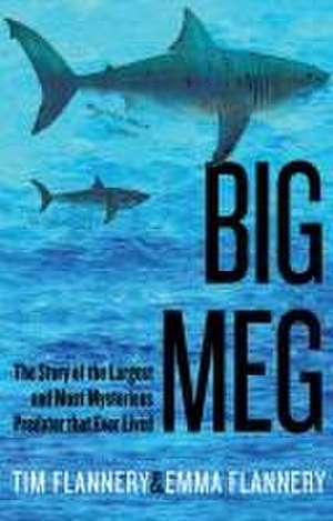 Big Meg de Tim Flannery