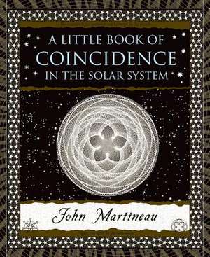 A Little Book of Coincidence de John Martineau