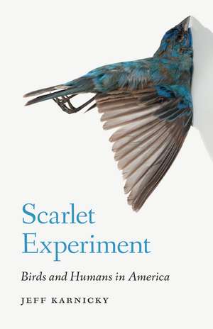 Scarlet Experiment: Birds and Humans in America de Jeff Karnicky