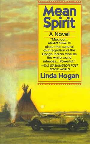 Mean Spirit de Linda Hogan