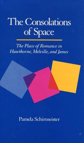 The Consolations of Space: The Place of Romance in Hawthorne, Melville, and James de Pamela Schirmeister