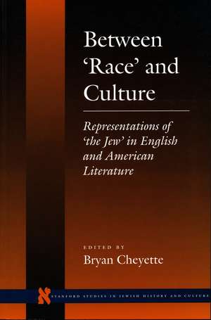 Between ‘Race’ and Culture: Representations of ‘the Jew’ in English and American Literature de Bryan Cheyette