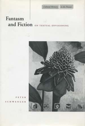 Fantasm and Fiction: On Textual Envisioning de Peter Schwenger