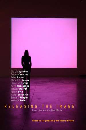 Releasing the Image: From Literature to New Media de Jacques Khalip