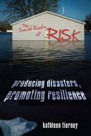 The Social Roots of Risk: Producing Disasters, Promoting Resilience de Kathleen Tierney