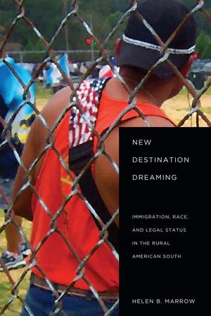 New Destination Dreaming: Immigration, Race, and Legal Status in the Rural American South de Helen Marrow