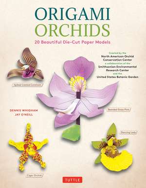 Origami Orchids Kit: 20 Beautiful Die-Cut Paper Models de Dennis Whigham