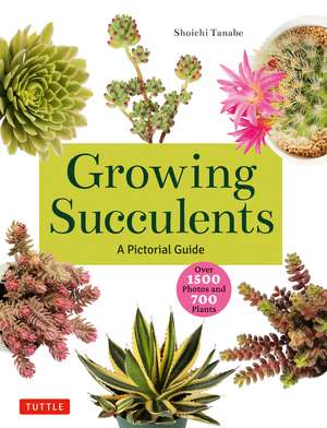 Growing Succulents: A Pictorial Guide (Over 1,500 photos and 700 plants) de Shoichi Tanabe