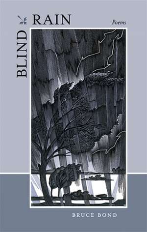 Blind Rain de Bruce Bond