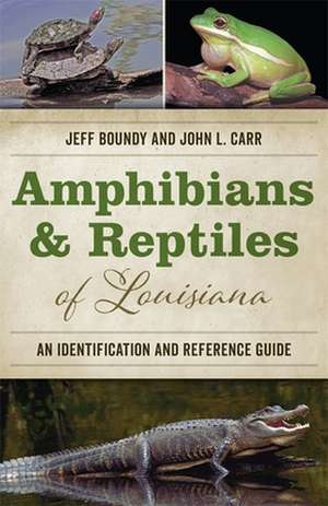 Amphibians and Reptiles of Louisiana de Jeff Boundy