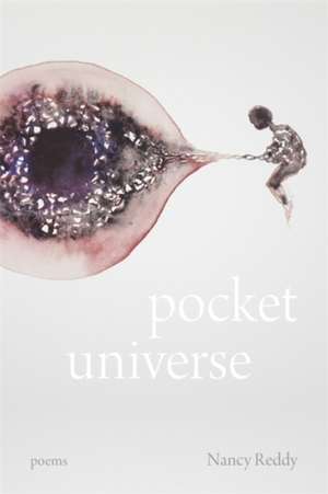 Pocket Universe de Nancy Reddy