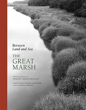 Between Land and Sea: The Great Marsh de Doug Stewart