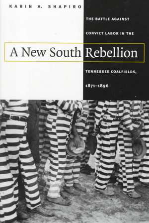 A New South Rebellion de Karin A. Shapiro