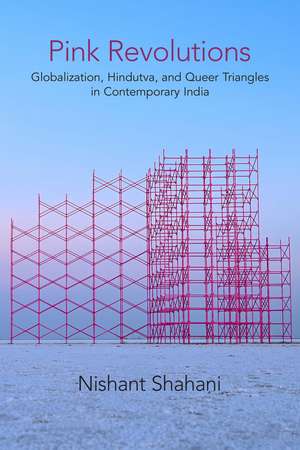 Pink Revolutions: Globalization, Hindutva, and Queer Triangles in Contemporary India de Nishant Shahani