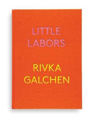 Little Labors de Rivka Galchen