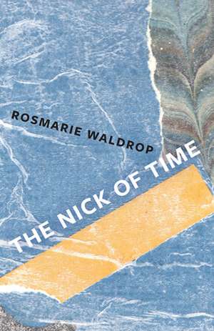 The Nick of Time de Rosmarie Waldrop