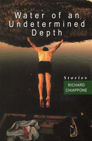 Water of an Undetermined Depth de Richard Chiappone