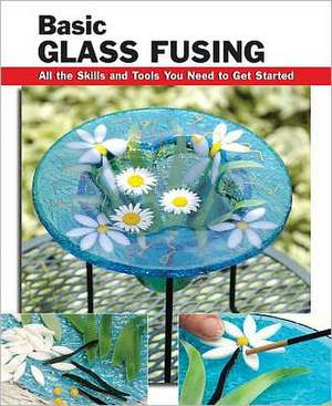 Basic Glass Fusing de Lynn Haunstein