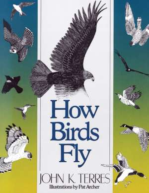 How Birds Fly de John Terres