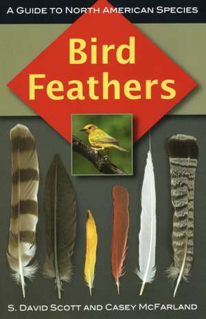 Bird Feathers de S. David Scott